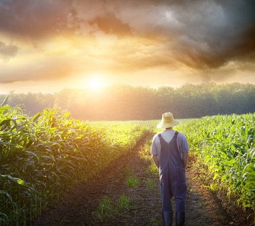 Organic farm worker